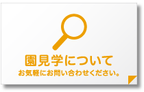 園見学について