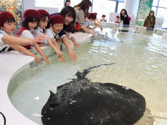 卒園遠足～海遊館に行きました！	