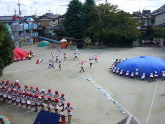 園舎の２階から見たらこんな感じです