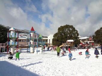 ３学期早々大雪がふったね