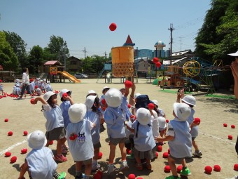 運動会ごっこで玉入れをしたよ！