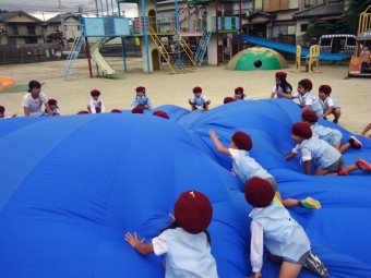 それ！よじ登っちゃえ！