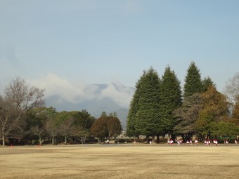 自然豊かな広い公園が隣りで良かった！