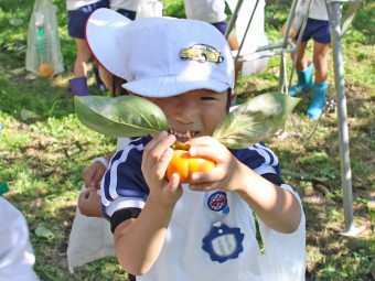 柿狩りと大根引き