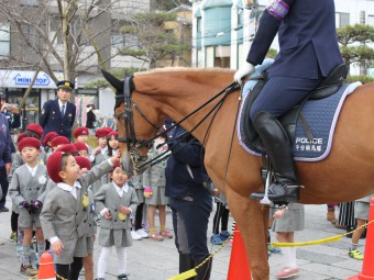 お馬さんも触らせてもらいました