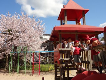 お庭の桜も綺麗です