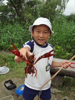 ザリガニ釣りに行ったよ！