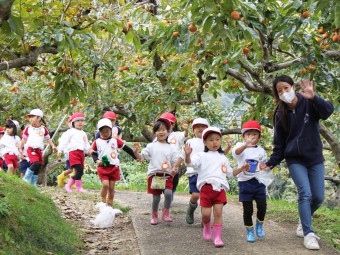 柿のトンネルを越えて次は大根畑へ