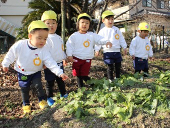 あっ、これ大きい！