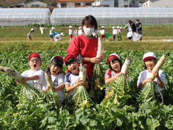 柿狩りと大根引きに行ったよ！