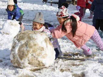 めっちゃ重い！雪だるま作り！