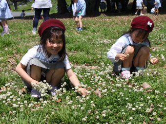 女の子はお花摘みに夢中ですね