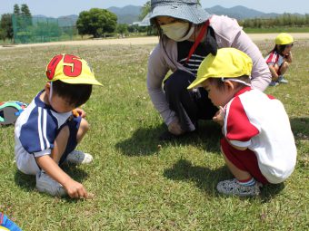 この辺りが「てんとう虫ランド」らしいです