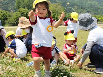 綺麗なお花を見つけたよ！