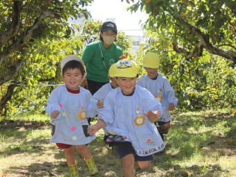 柿畑を走り回ったり…楽しそう！