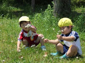 きれいなお花とったよ～！