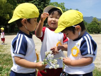 お花や虫を観察してますね