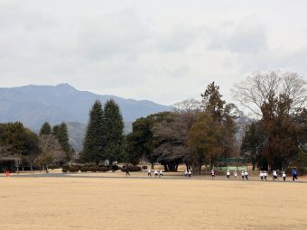広～い嵐山東公園の中を走ります