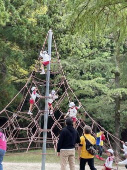 高い所まで登れたよ！