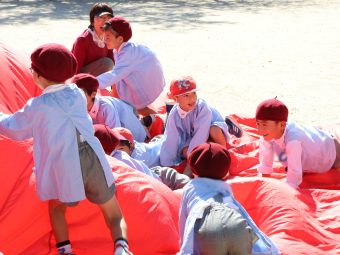 登っちゃえ！！