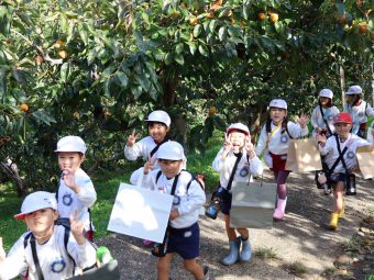 柿畑にやってきました。大きいのとるぞ～！