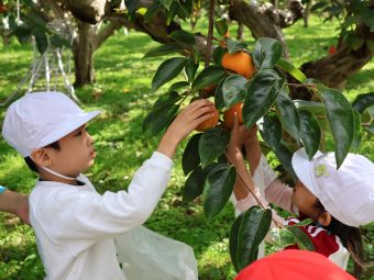 ぐるぐるぐる～、と回してね♪