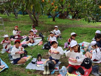 お昼ご飯は柿畑でいただきます