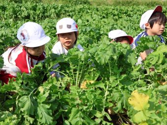 うんとこしょ！