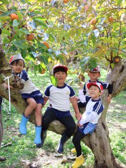 柿の木に登ったよ～！