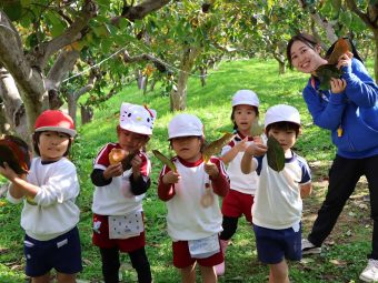 いろんな大きさや色の葉っぱをゲット！