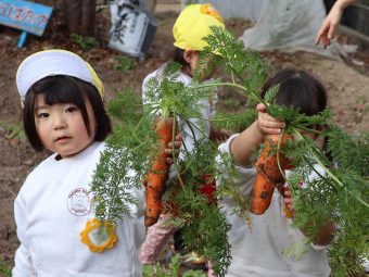 太いにんじんさんができてたよ！