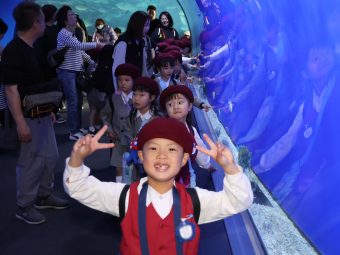 魚のトンネルをくぐって…