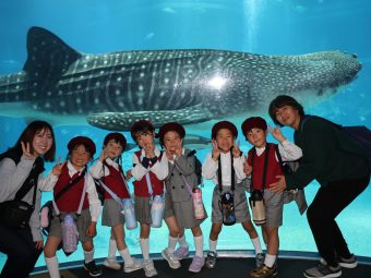 ジンベイザメ～！でっか～い！！