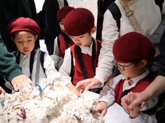 触ったりもできたよ！